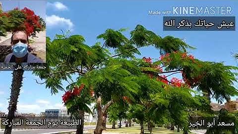 جمعة مباركة على الجميع بفضل وقراءة سورة الكهف