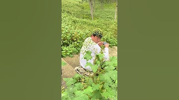 Ném quả tới dính kín người của bạn