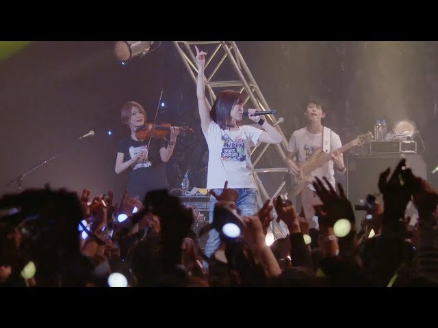 山本彩 | LiveFans PUSH!