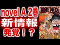 【ワンピース】novel A 2巻 新世界編 のあらすじ＆新情報＆考察