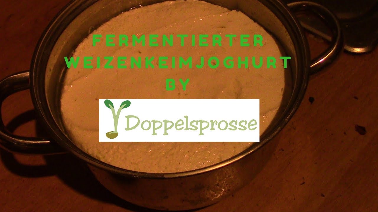 Fermentierter Weizenkeimjoghurt