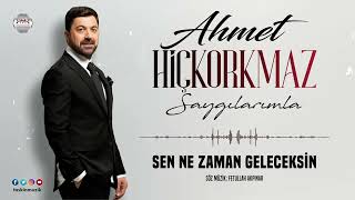 Ahmet Hiçkorkmaz   / Sen Ne Zaman Geleceksin Resimi