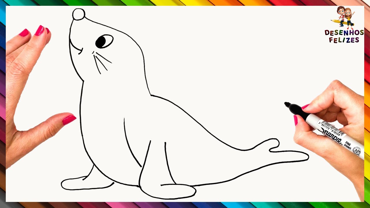 Desenho de foca para colorir desenho de animal