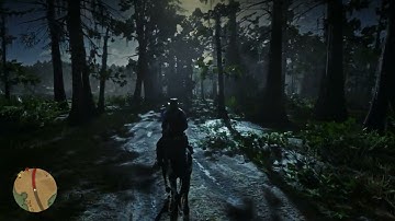 Red dead Redemption 2 Ultra 2k With custom Shaders Best looking game ever made!