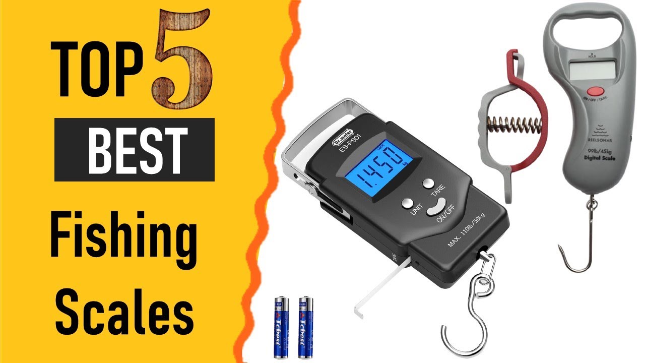 Top 5 Fishing Scales Reviews | Best Fishing Scales 2021