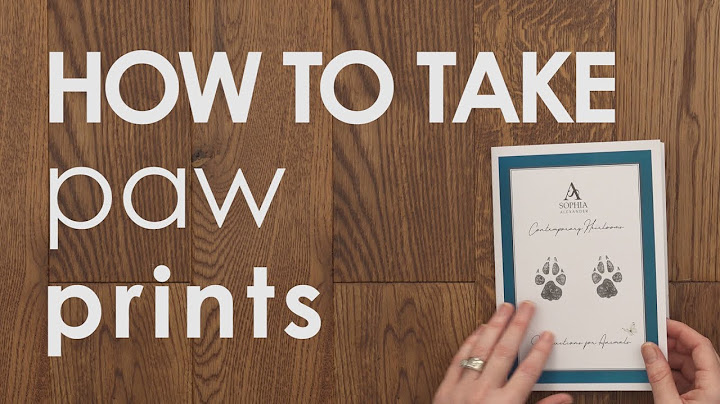 How to Take Paw Prints