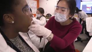 Better Together: Diversity and inclusion at HMS