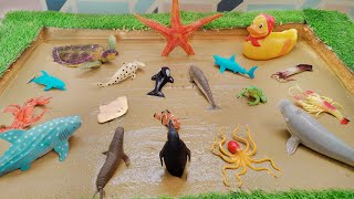 The Unexpected Adventures of Sea Animals and Ocean Creatures in the Sandbox screenshot 4