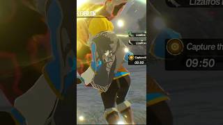 Zelda Booty Warriors