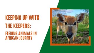Keeping Up With The Keepers: Feeding Animals in African Journey