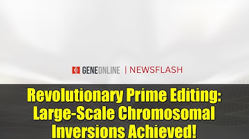 Revolutionary Prime Editing: Large-Scale Chromosomal Inversions Achieved!