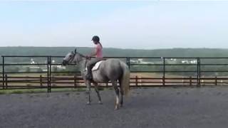 How to Stay on when your horse Freaks out!