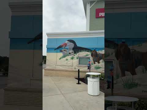 Out exploring our favorite local area to shop and grab a bite! #tampabay #outlets #realestate