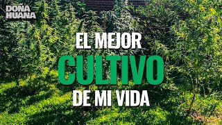 Como Fue El Mejor Cultivo De Mi Vida En Exterior