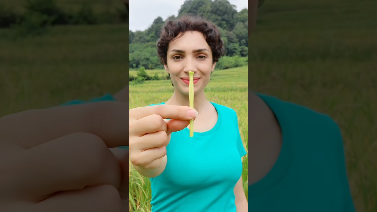 Making a Magic Whistle from a Rice Stalk😃👌🏻 
