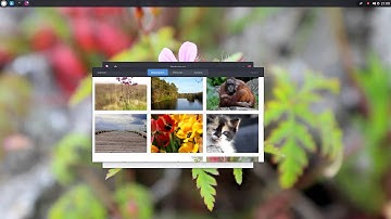 Solus 1.1 Install and Overview