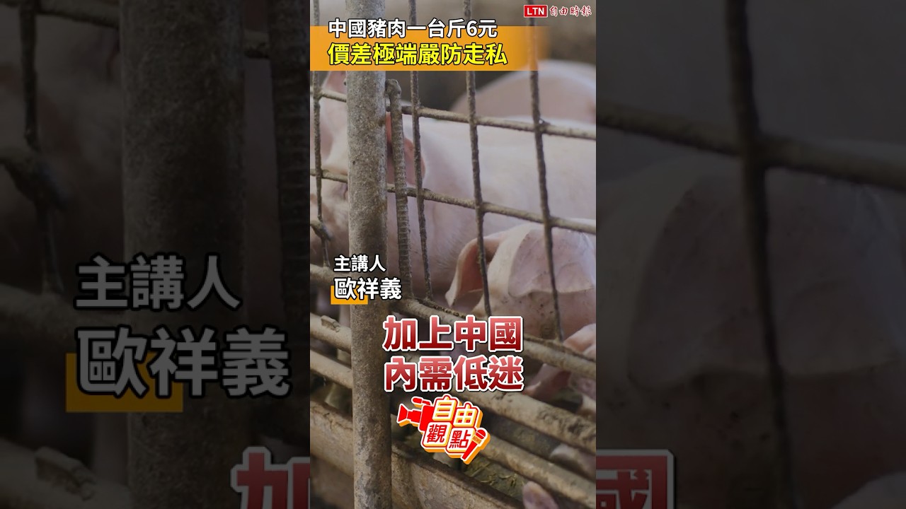 中國豬肉一台斤6元 價差極端嚴防走私|20251123 自由觀點|#shorts 中國豬肉一台斤6元 價差極端嚴防走私|20251123 自由觀點|#shorts
