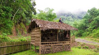 Building a new house with bamboo  Single life of an ethnic minority girl