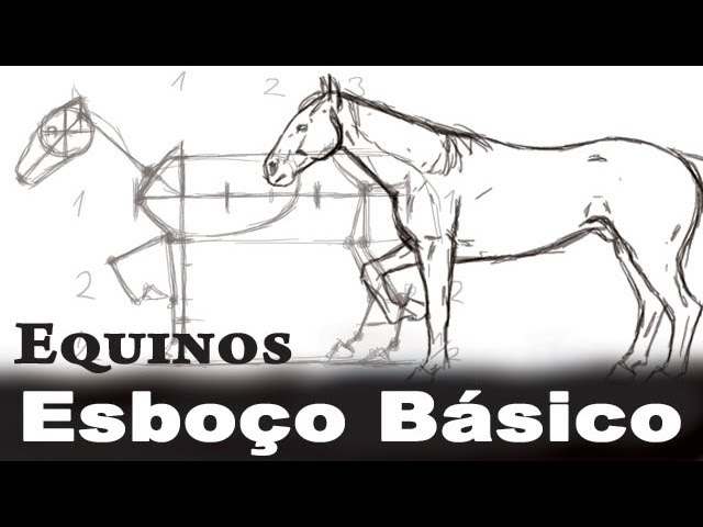 Como desenhar uma cabeça de cavalo – Hipismo&Co