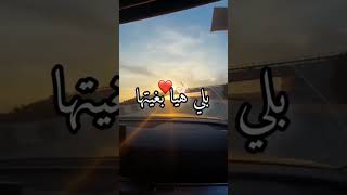 نكذب عليكم لا قلتلكم نسيتها 😩💔 ديروا في بالكم بلي هيا بغيتها 😓#tiktok