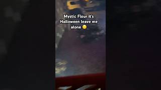 Mystic Flour pls leave me alone unless u show up in my pulls #cookierunkingdom #crk #cookierun