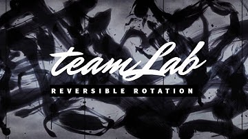 teamLab Reversible Rotation - Before You Go