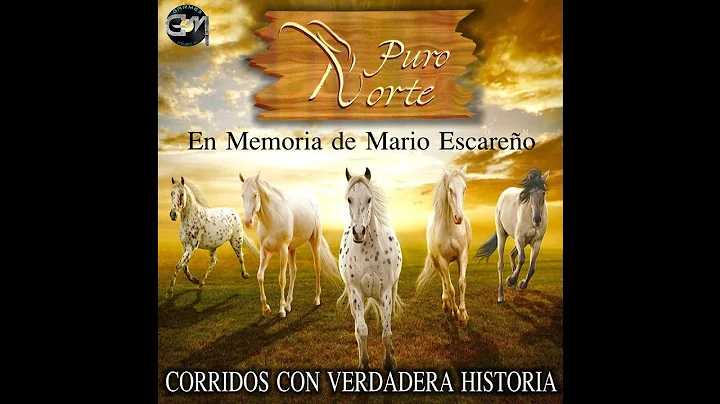 Puro Norte - Mario Escareno