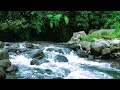 Clear Water Stream Sounds to Calm Anxiety