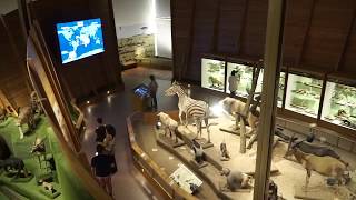 Interactive Application at National Museum in Prague