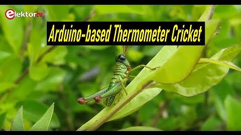 Arduino-based Thermometer Cricket