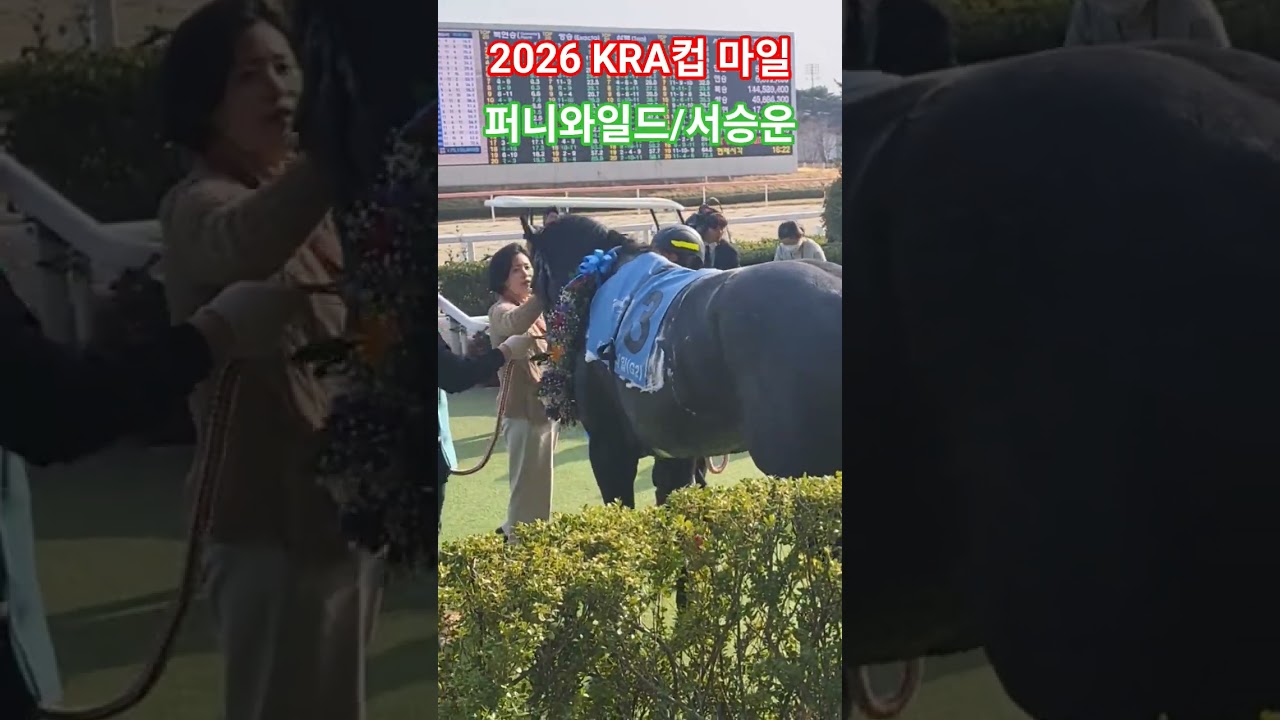 다음은 코리안더비야~#경마 #말 #달려라말 #대상경주 #shorts
