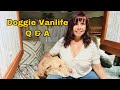 Vanlife solo female 50   doggie q  a  what do you do when its too hot in the van  etc ep 87