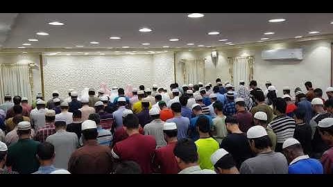 سورة النمل الآية 1 إلى 14