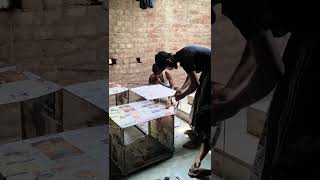 create the box kite #shortvideo #funny #kite