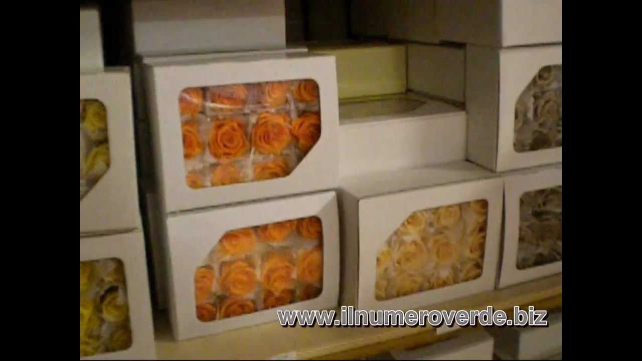 Fiori stabilizzati e rose disidratate : cosa sono e come si usano