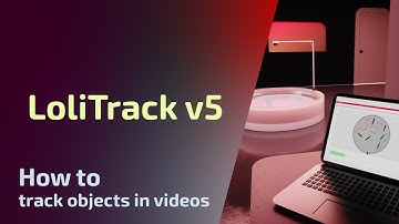LoliTrack v5 - 2D Tracking - How to track objects in videos