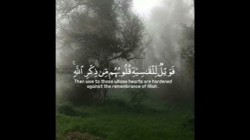(أَفَمَن شَرَحَ اللَّهُ صَدْرَهُ لِلْإِسْلَامِ فَهُوَ عَلَىٰ نُورٍ مِّن رَّبِّهِ ۚ) سورة الزمر #قرآن