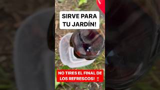 NO TIRES el Final del Refresco de COLA 🥤Úsalo en tu Jardín!