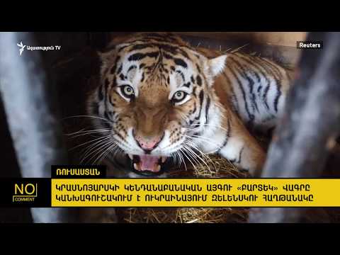 Video: Կրասնոյարսկի կենդանաբանական այգի «Ռոև Ռուչեյ». Առանձնահատկություններ, բնակիչներ, բացման ժամեր