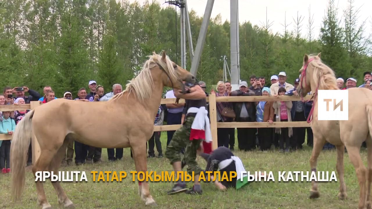 Деревня конь татарстан