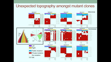 Quantifying tumor evolution through spatial computational modeling... - Christina Curtis