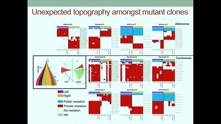 Quantifying tumor evolution through spatial comput...