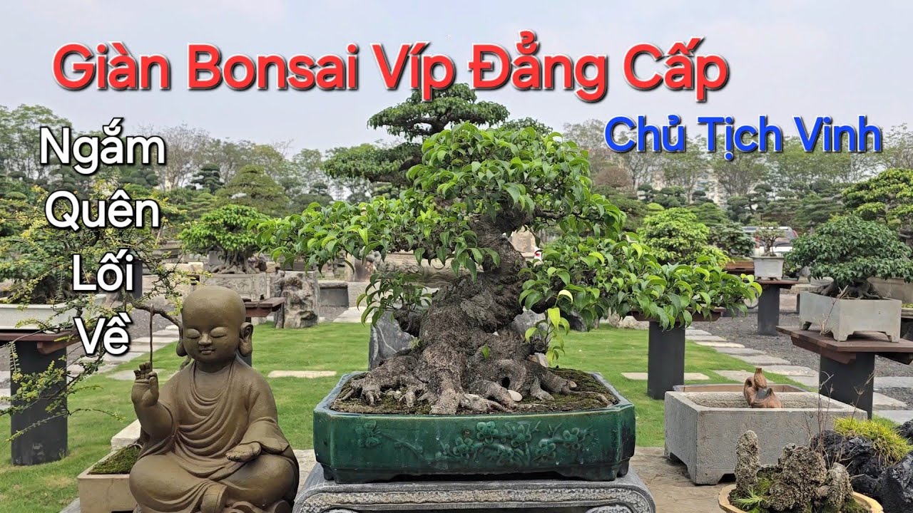 CHIÊM NGƯỠNG giàn TP Bonsai ĐẲNG CẤP QUỐC TẾ của Chủ Tịch Tập Đoàn Triệu Điền * Anh Vinh * .