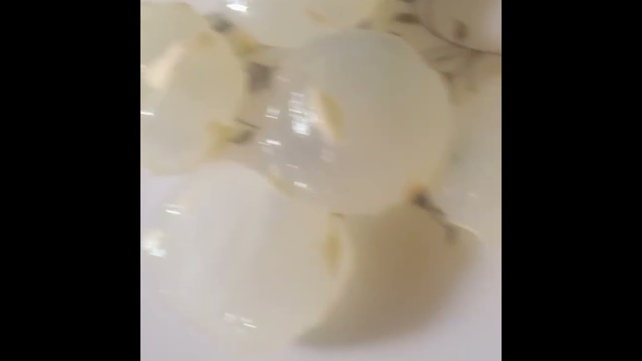 Ice Apple / Nunku / Palm fruit 