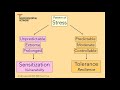 1. Patterns of Stress & Resilience: Neurosequential Network Stress & Trauma Series