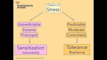 1. Patterns of Stress & Resilience: Neurosequential Network Stress & Trauma Series