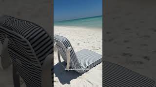 The neighboring beach setups are taking notes 👀 #amazonfinds