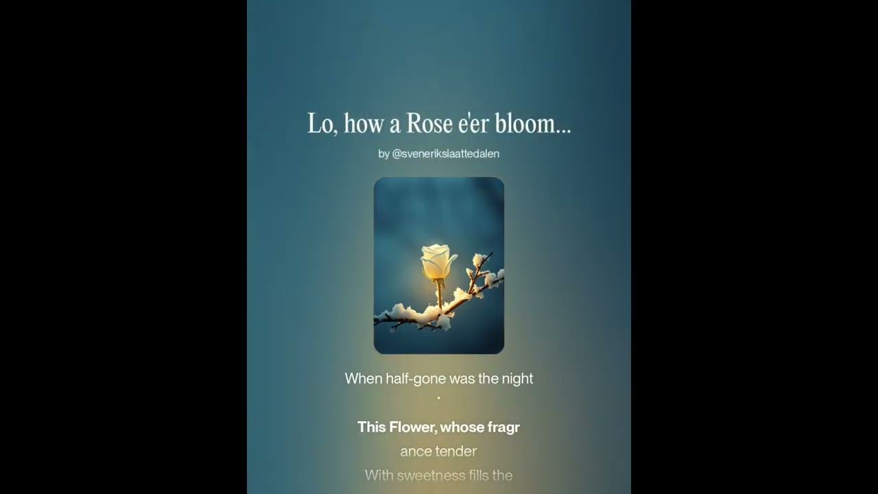 Anonymous - Lo, how a Rose e'er blooming - original