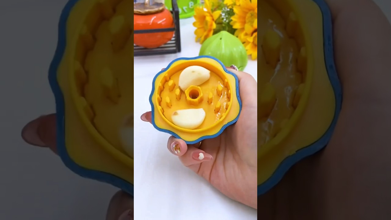 Useful kitchen gadgets review 2024 