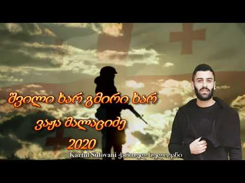 შვილი ხარ გმირი ხარ-ვაჟა მალაციძე 2020  ეძღვნება ყველა იმ ადამიანს ვინც სიცოცხლე შესწირა სამშობლოს